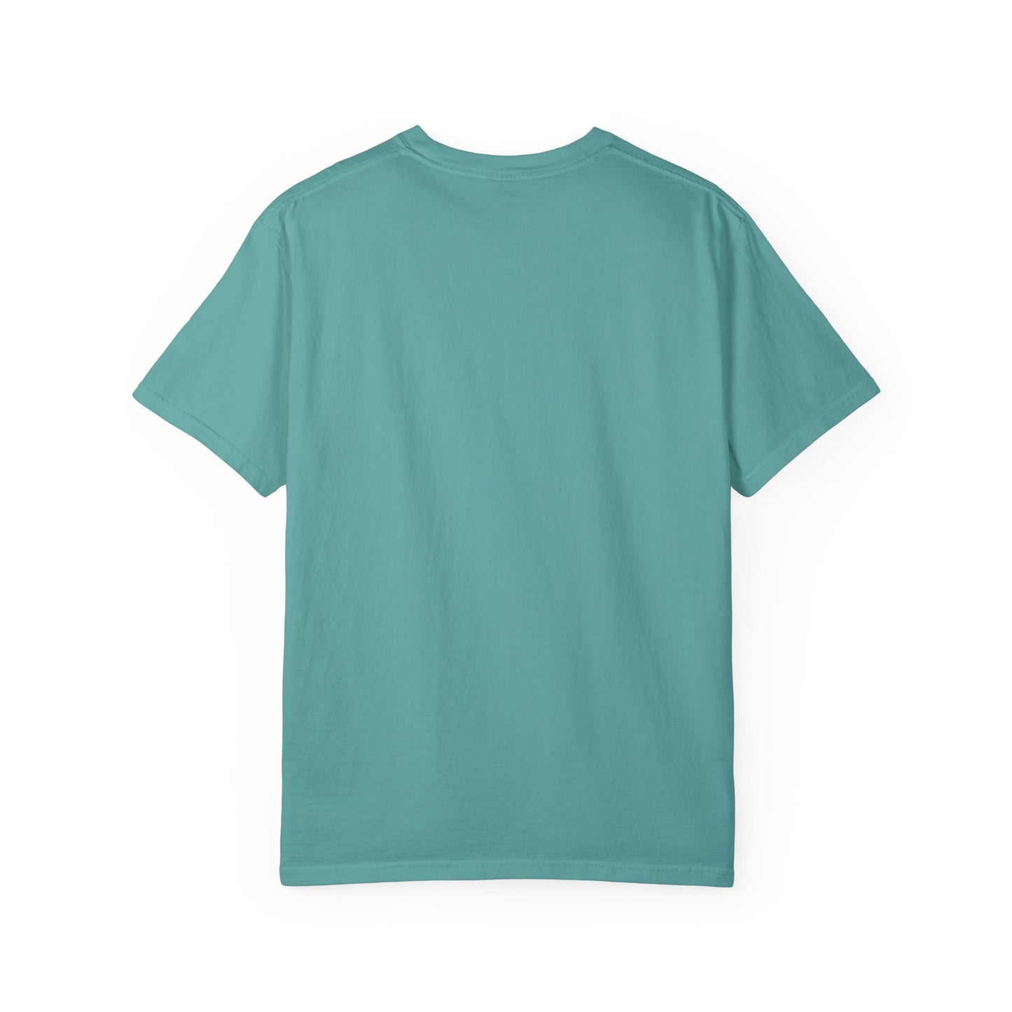 WOOO PIG SOOIE. , Arkansas Retro T-Shirt - Call Those Hogs - Natural State - Fun Summer Tee - Colorful - Razorbacks