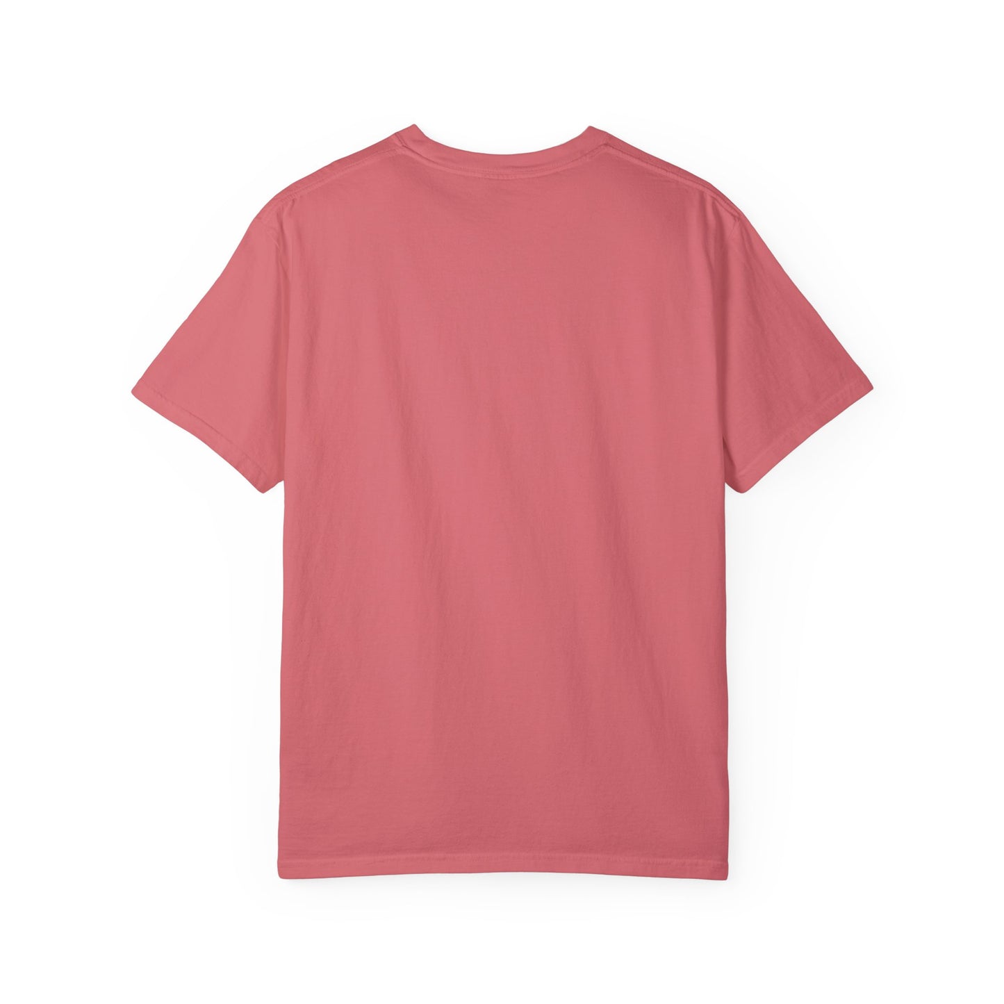 WOOO PIG SOOIE. , Arkansas Retro T-Shirt - Call Those Hogs - Natural State - Fun Summer Tee - Colorful - Razorbacks