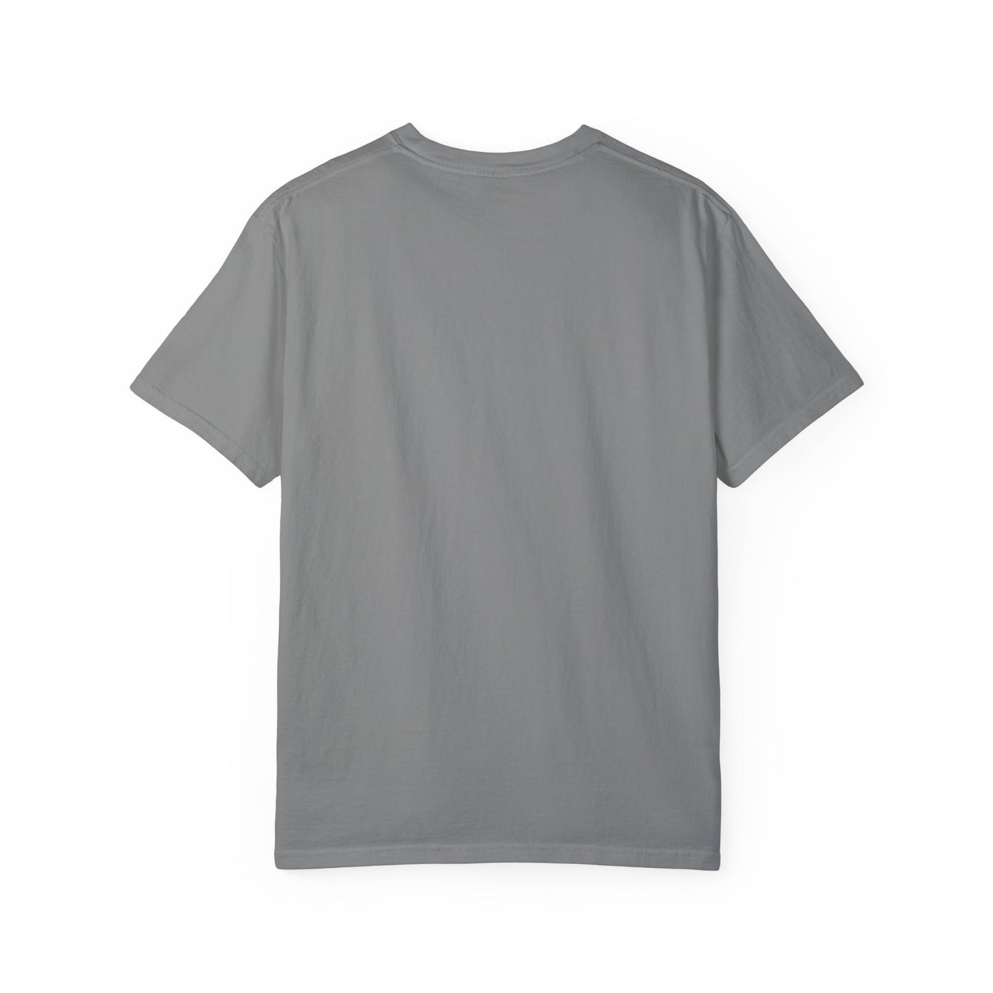 WOOO PIG SOOIE. , Arkansas Retro T-Shirt - Call Those Hogs - Natural State - Fun Summer Tee - Colorful - Razorbacks
