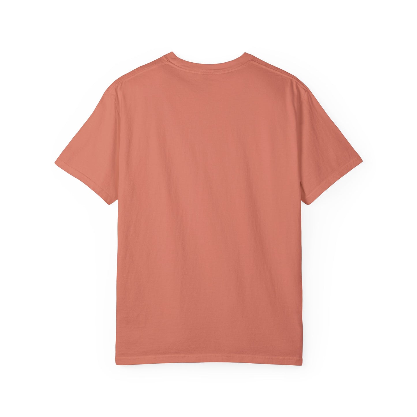 WOOO PIG SOOIE. , Arkansas Retro T-Shirt - Call Those Hogs - Natural State - Fun Summer Tee - Colorful - Razorbacks